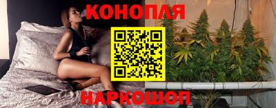 гидропоника Канаш