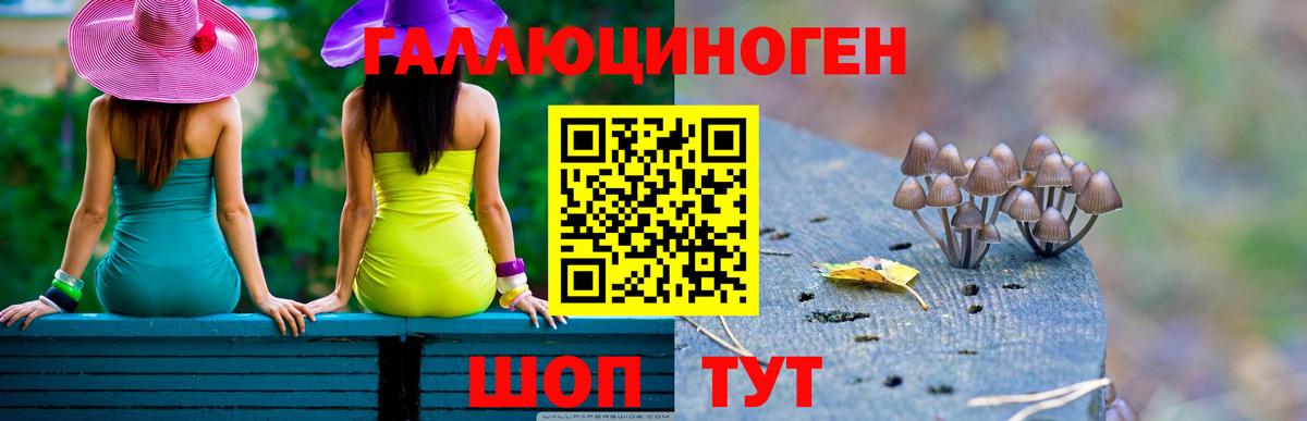 Галлюциногенные грибы мицелий  Вход с VPN  Дагестанские Огни 